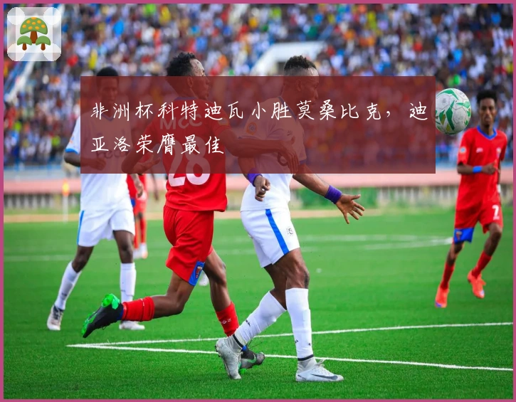 非洲杯科特迪瓦小胜莫桑比克，迪亚洛荣膺最佳