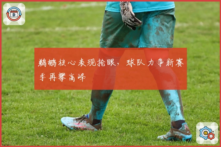 鹈鹕核心表现抢眼，球队力争新赛季再攀高峰